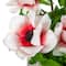 10&#x22; Anemone Flower Bouquet In White Basket